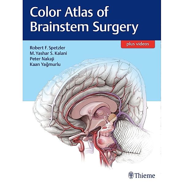 Color Atlas of Brainstem Surgery