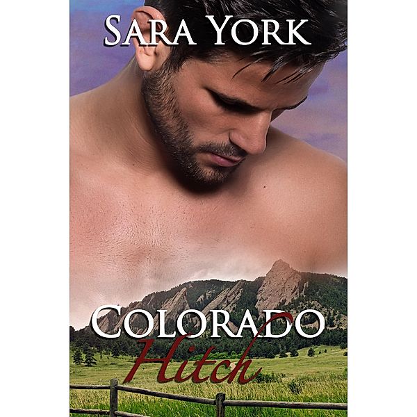 Colorado Heart: Colorado Hitch (Colorado Heart, #5), Sara York