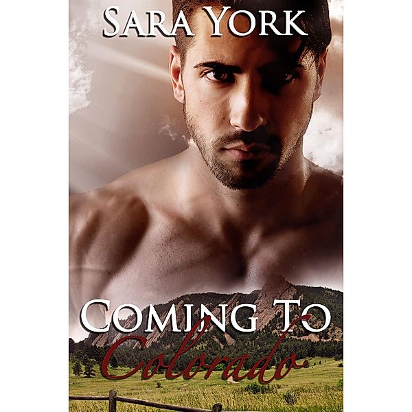 Colorado Heart: Coming To Colorado (Colorado Heart, #4), Sara York