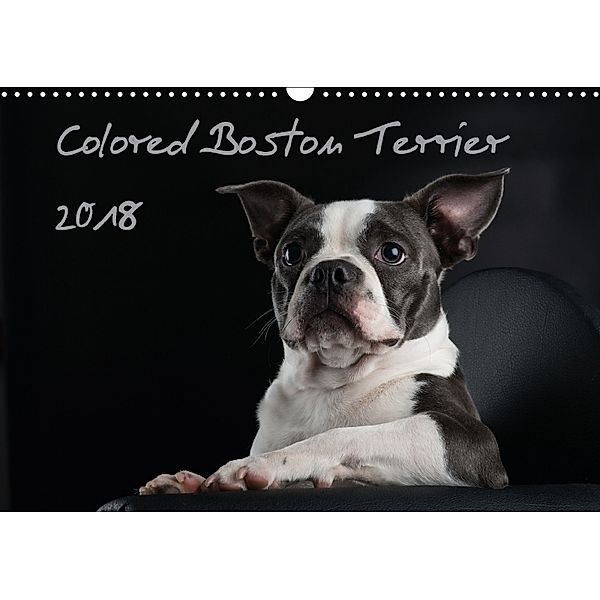 Colored Boston Terrier 2018 (Wandkalender 2018 DIN A3 quer), Nicola Kassat