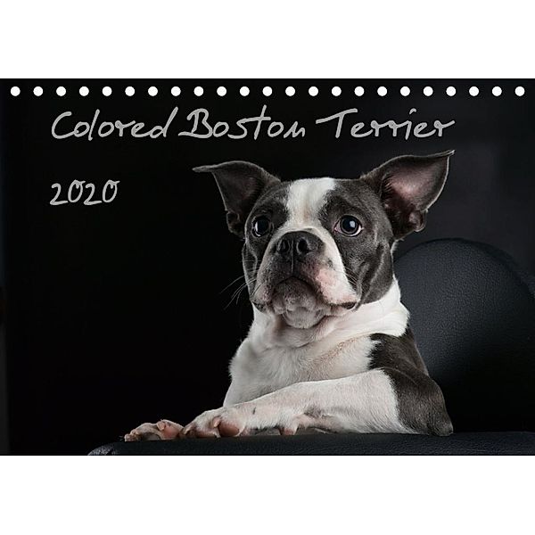 Colored Boston Terrier 2020 (Tischkalender 2020 DIN A5 quer), Nicola Kassat