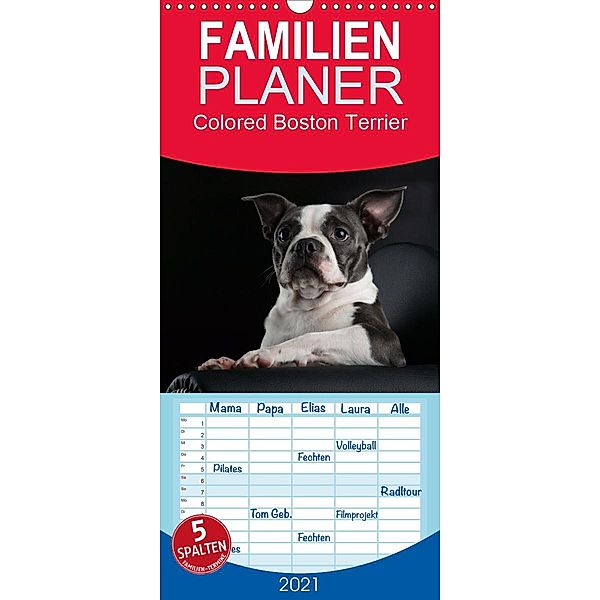 Colored Boston Terrier 2021 - Familienplaner hoch (Wandkalender 2021 , 21 cm x 45 cm, hoch), Nicola Kassat Fotografie