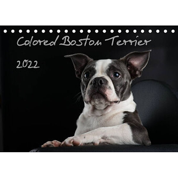 Colored Boston Terrier 2022 (Tischkalender 2022 DIN A5 quer), Nicola Kassat Fotografie