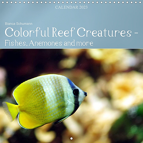 Colorful Reef Inhabitants - Fishes, Anemones and more (Wall Calendar 2023 300 × 300 mm Square), Bianca Schumann