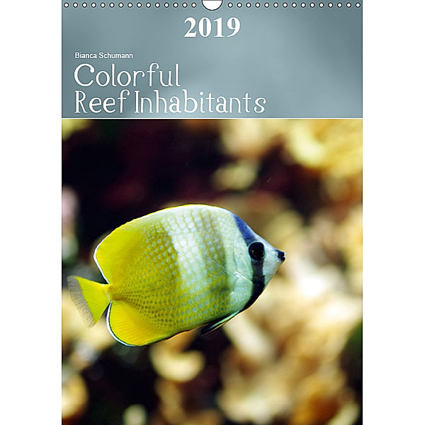 Colorful Reef Inhabitants (Wall Calendar 2019 DIN A3 Portrait), Bianca Schumann