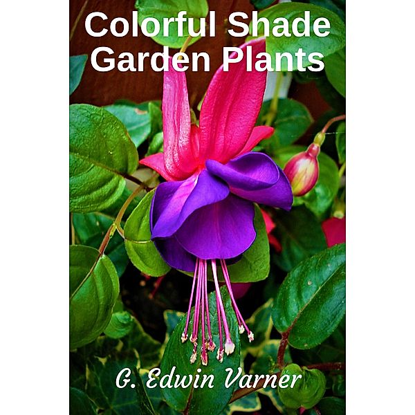 Colorful Shade Garden Plants, G. Edwin Varner