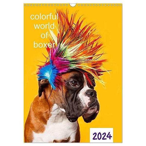 colorful world of boxer 2024 (Wandkalender 2024 DIN A3 hoch), CALVENDO Monatskalender, Kerstin Mielke