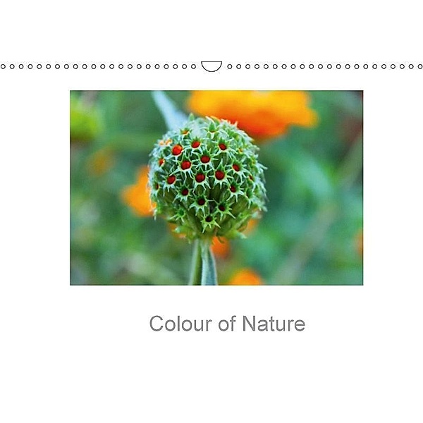 Colour of Nature (Wall Calendar 2017 DIN A3 Landscape), Solange Foix