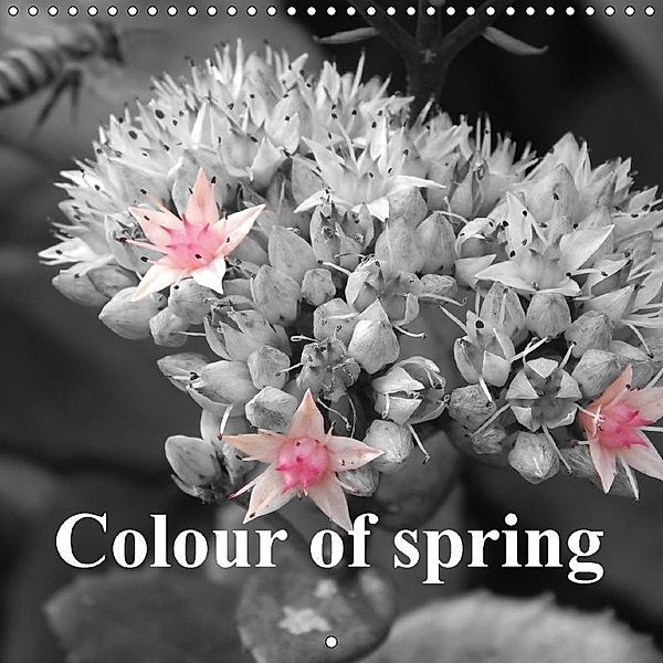 Colour of spring (Wall Calendar 2017 300 × 300 mm Square), Martina Busch