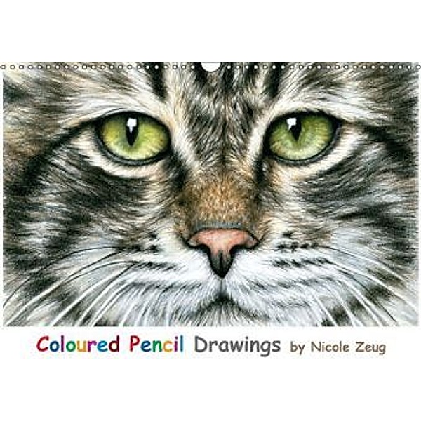 Coloured Pencil Drawings (Wandkalender 2016 DIN A3 quer), Nicole Zeug