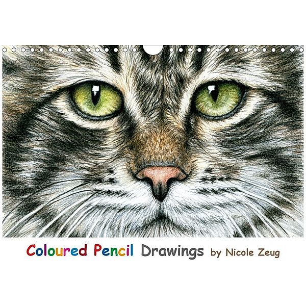 Coloured Pencil Drawings (Wandkalender 2020 DIN A4 quer), Nicole Zeug