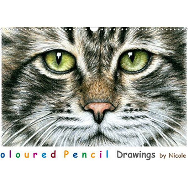 Coloured Pencil Drawings (Wandkalender 2022 DIN A3 quer), Nicole Zeug