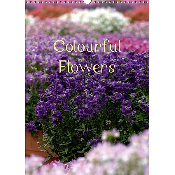 Colourful Flowers (Wall Calendar 2018 DIN A3 Portrait), Lucy Antony/Loose Images