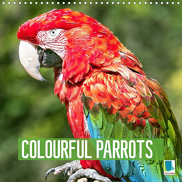 Colourful Parrots (Wall Calendar 2023 300 × 300 mm Square), Calvendo