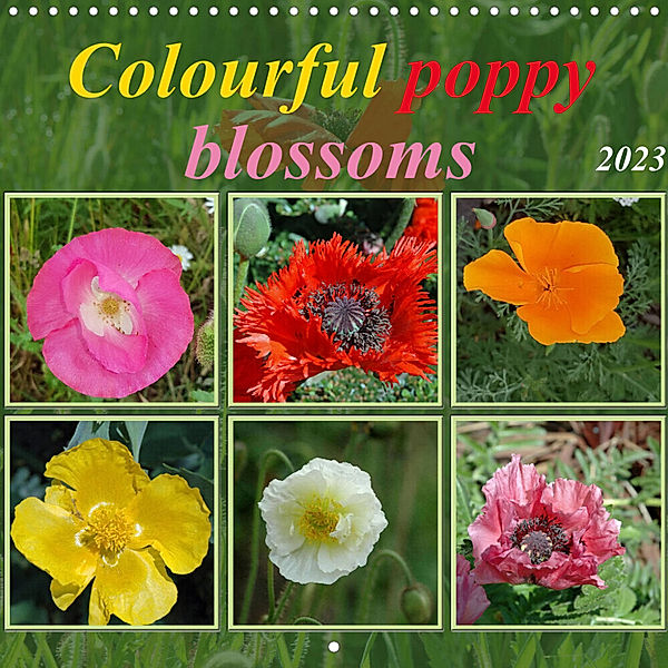 Colourful poppy blossoms (Wall Calendar 2023 300 × 300 mm Square), Claudia Kleemann