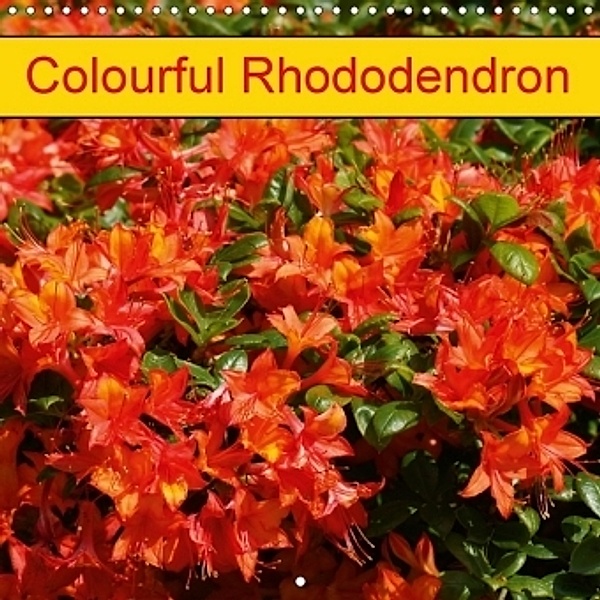 Colourful Rhododendron (Wall Calendar 2017 300 × 300 mm Square), Kattobello