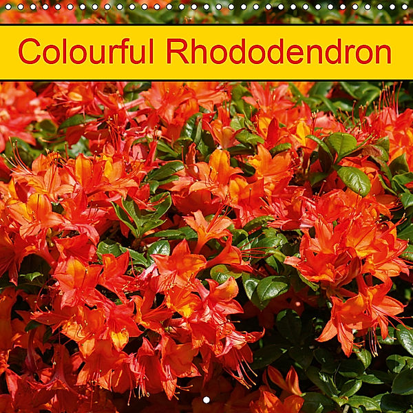 Colourful Rhododendron (Wall Calendar 2019 300 × 300 mm Square), kattobello