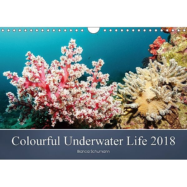 Colourful Underwater Life 2018 (Wall Calendar 2018 DIN A4 Landscape), Bianca Schumann