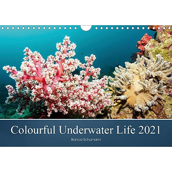 Colourful Underwater Life 2021 (Wall Calendar 2021 DIN A4 Landscape), Bianca Schumann