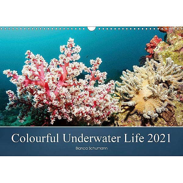 Colourful Underwater Life 2021 (Wall Calendar 2021 DIN A3 Landscape), Bianca Schumann