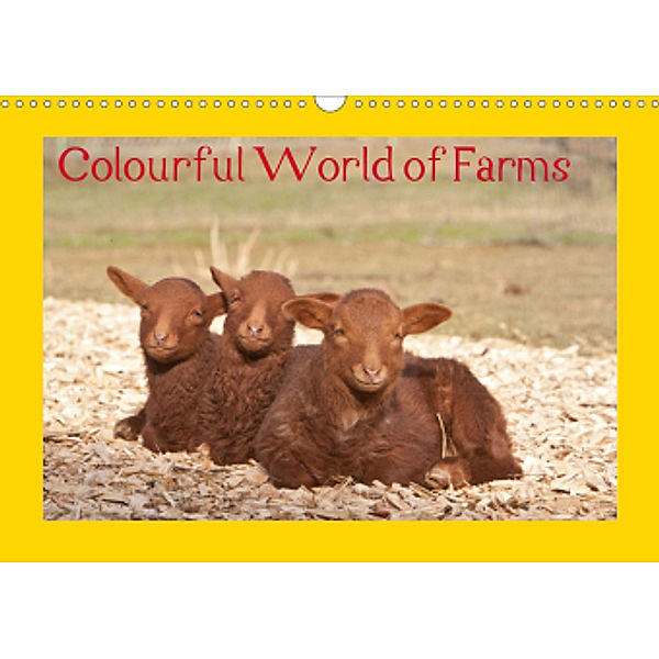 Colourful World of Farms (Wall Calendar 2021 DIN A3 Landscape), Angela Muenzel-Hashish