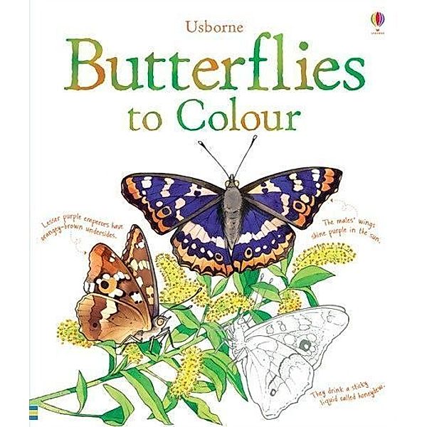 Colouring Books / Butterflies to Colour, Megan Cullis