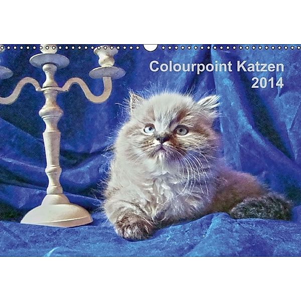 Colourpoint Katzen 2014 (Wandkalender 2014 DIN A3 quer), Sylvia Säume