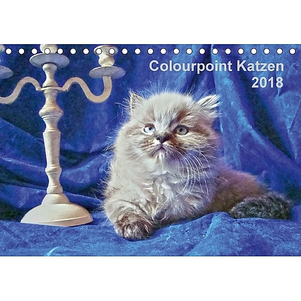 Colourpoint Katzen 2018 (Tischkalender 2018 DIN A5 quer), Sylvia Säume