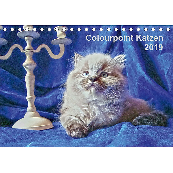 Colourpoint Katzen 2019 (Tischkalender 2019 DIN A5 quer), Sylvia Säume