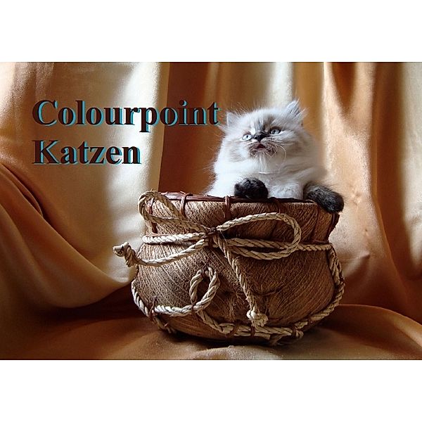 Colourpoint Katzen (Posterbuch DIN A4 quer), Sylvia Säume