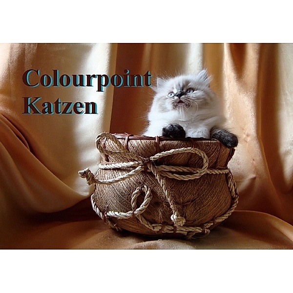 Colourpoint Katzen (Tischaufsteller DIN A5 quer), Sylvia Säume