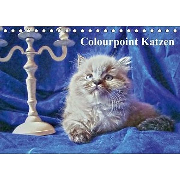 Colourpoint Katzen (Tischkalender 2020 DIN A5 quer), Sylvia Säume