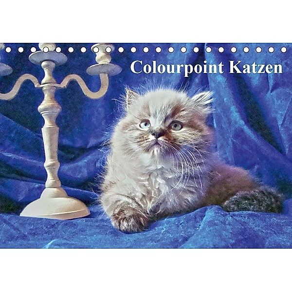 Colourpoint Katzen (Tischkalender 2021 DIN A5 quer), Sylvia Säume