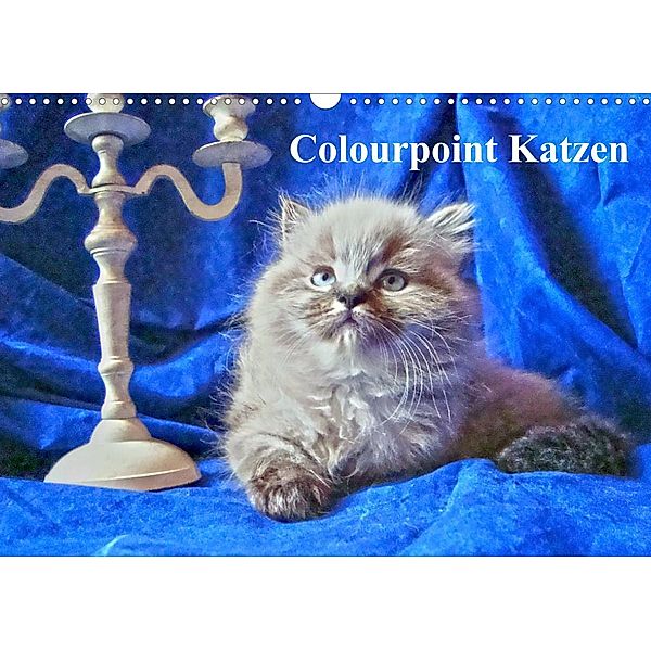 Colourpoint Katzen (Wandkalender 2023 DIN A3 quer), Sylvia Säume