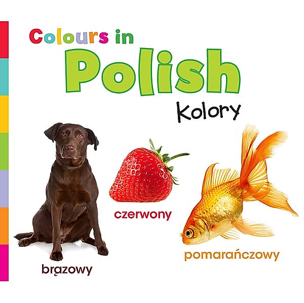 Colours in Polish / Raintree Publishers, Daniel Nunn