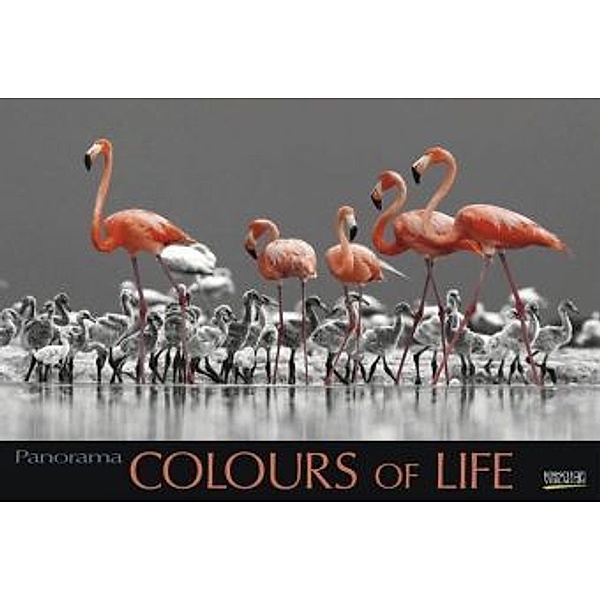 Colours of Life 2018