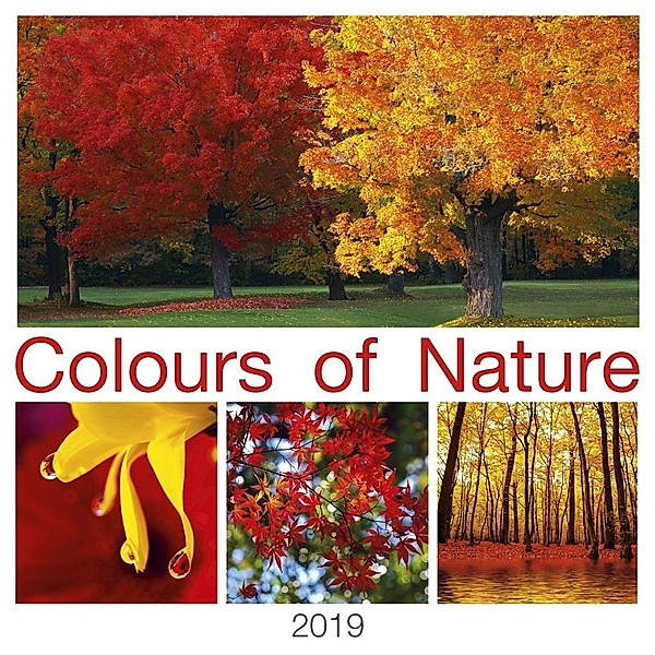 Colours of Nature 2019, ALPHA EDITION