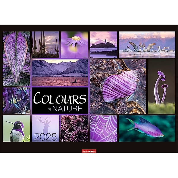 Colours of Nature Kalender 2025
