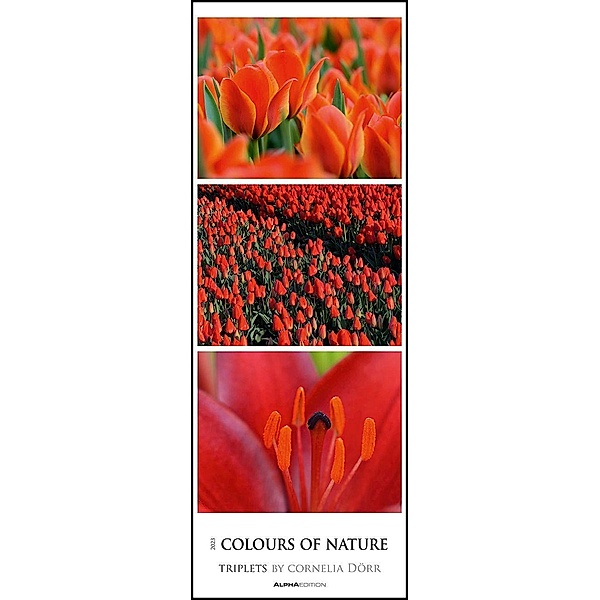 Colours of Nature - Triplets 2023 - Streifenkalender XXL 25x69 cm - Bildkalender im Hochformat - Naturkalender - Wandkal