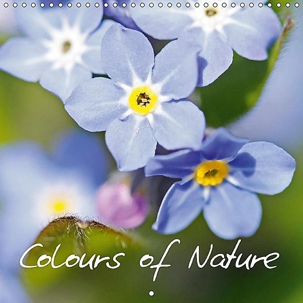 Colours of Nature (Wall Calendar 2017 300 × 300 mm Square), Heinz Gutersohn / magic-eye.ch, Heinz Gutersohn