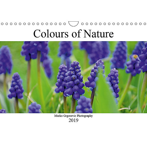 Colours of Nature (Wall Calendar 2019 DIN A4 Landscape), Marko Grgosevic