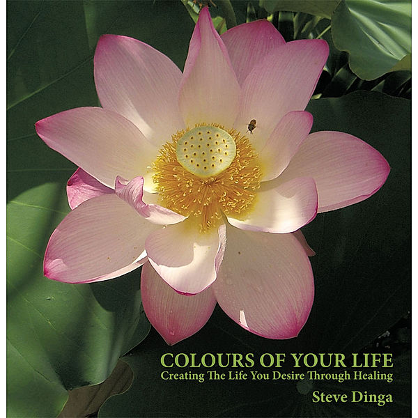 Colours of Your Life, Steve Dinga