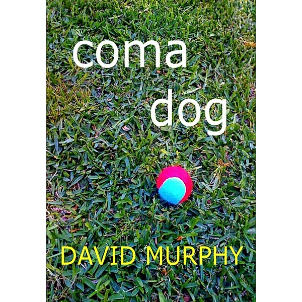 Coma Dog, David Murphy