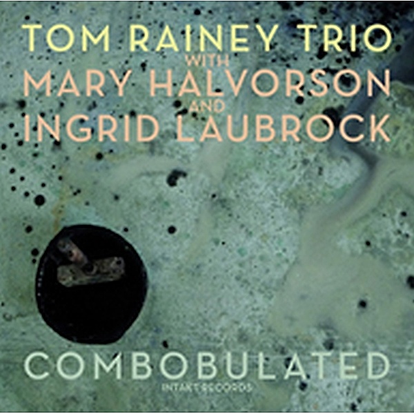 Combobulated, Tom Rainey Trio