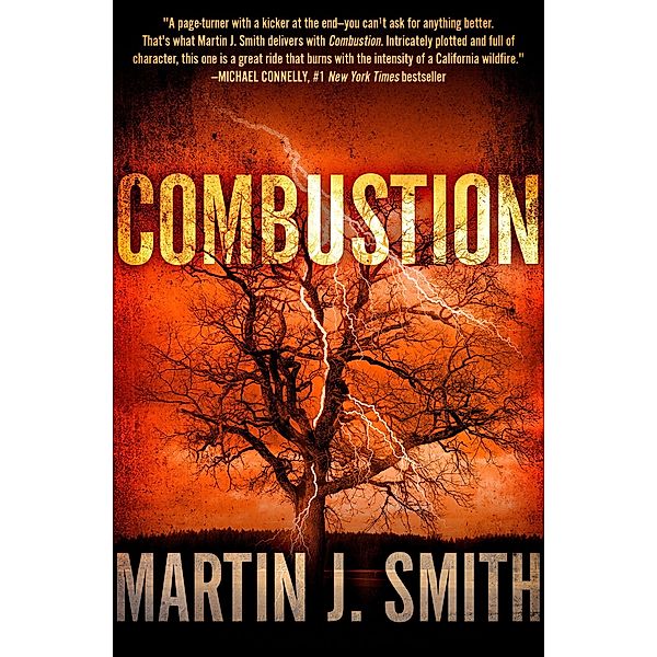 Combustion, Martin J. Smith