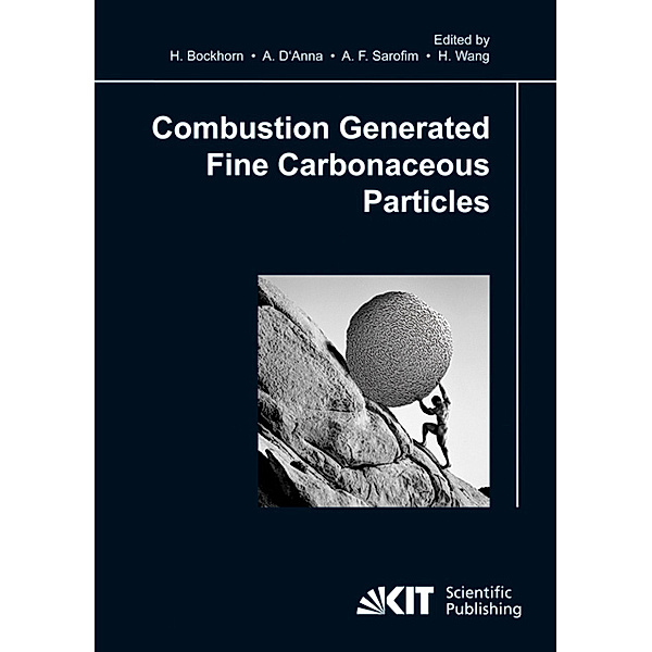 Combustion generated fine carbonaceous particles, Andrea D'Anna, Adel F. Sarofim