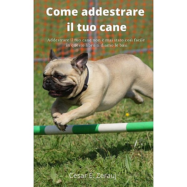 Come addestrare il tuo cane   Addestrare il tuo cane non è mai stato così facile in questo libro ti diamo le basi, Gustavo Espinosa Juarez, Cesar E. Zerauj