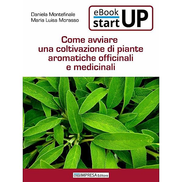 Come avviare una coltivazione di piante aromatiche, officinali e medicinali, Daniela Montefinale, Maria Luisa Morasso