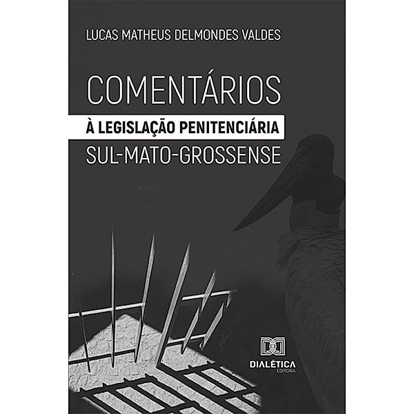 Comentários à legislação penitenciária sul-mato-grossense, Lucas Matheus Delmondes Valdes