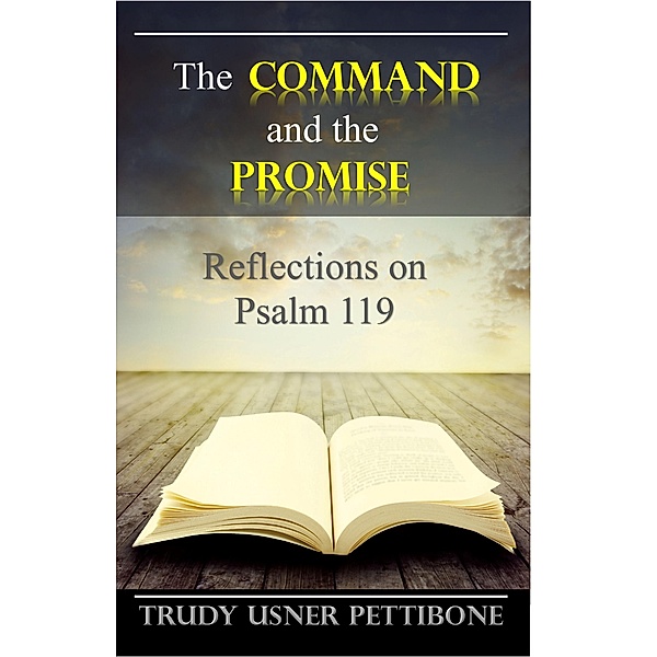 Command and the Promise / Dove Christian Publishers, Trudy Usner Pettibone